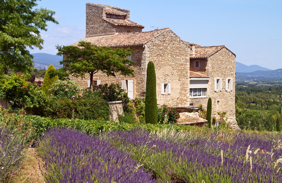 How to Handle Termites in Your French Property