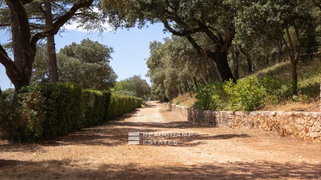 Château with vineyard estate