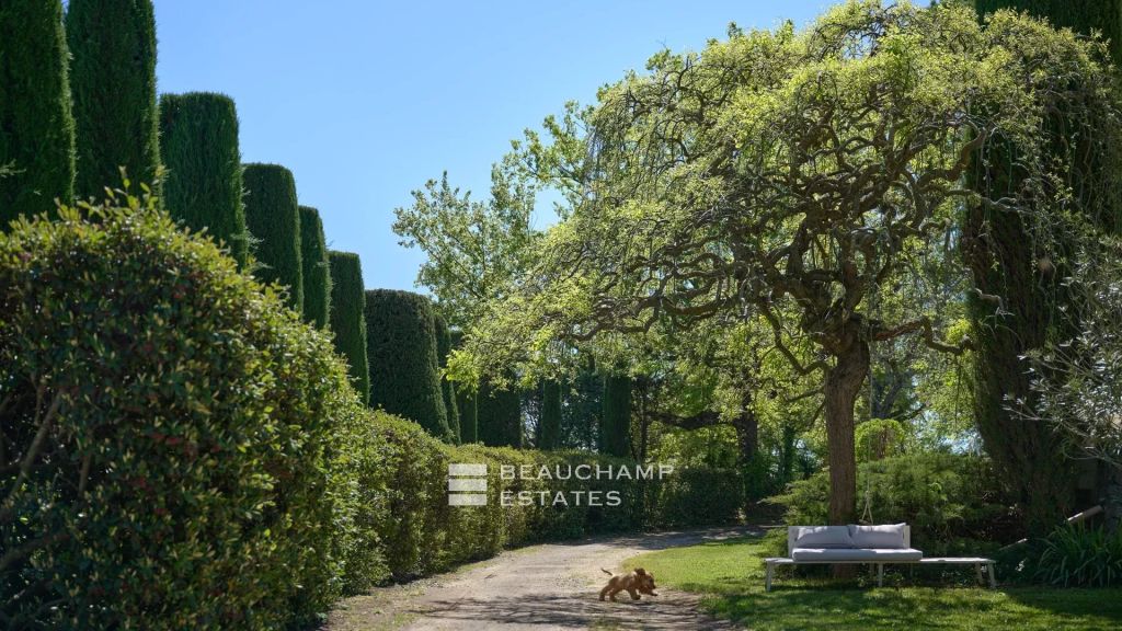 Charming Property with Village View