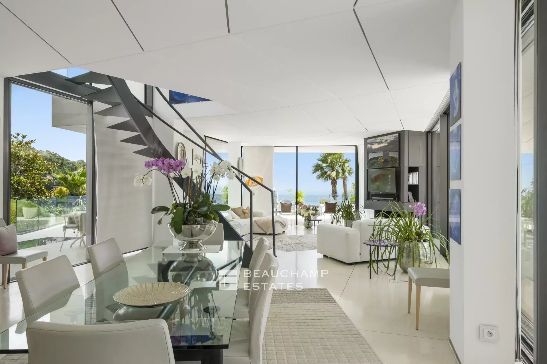 Villa on the Edge of Monaco Villa on the Edge of Monaco