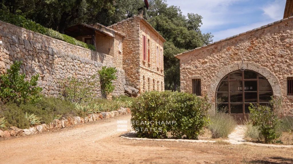 Château with vineyard estate