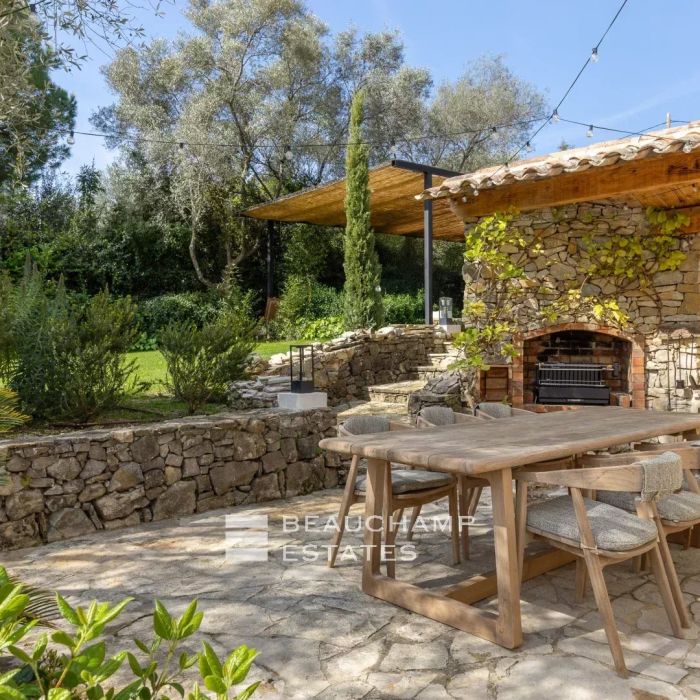 Comment traiter les termites dans votre propriété ?