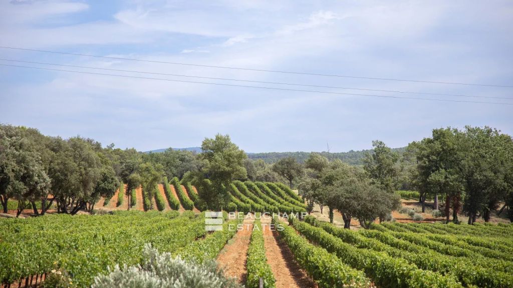 Château with vineyard estate