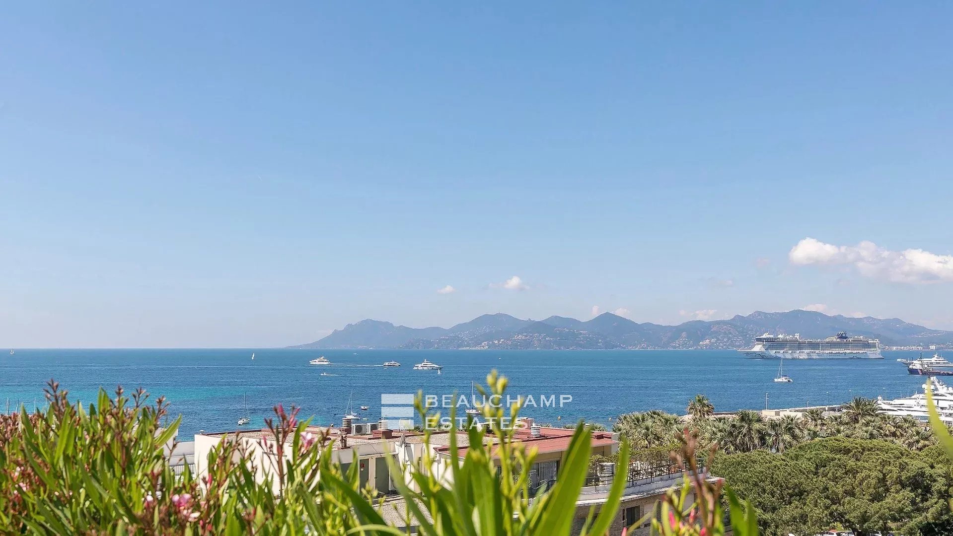 Cannes Palm Beach – Roof top apartment Cannes Palm Beach – Roof top apartment