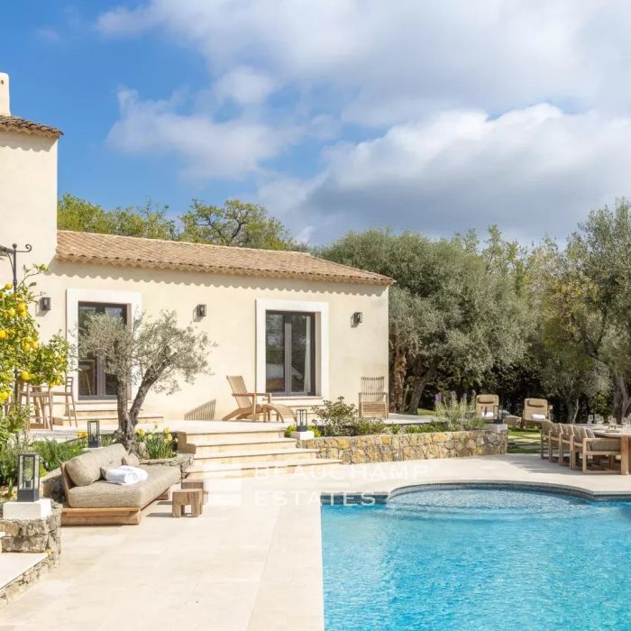 What to Do If You Find Lead in Your French Property