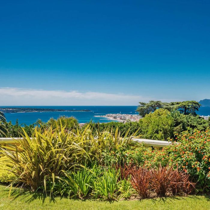 Propriété à vendre à Cannes Montfleury