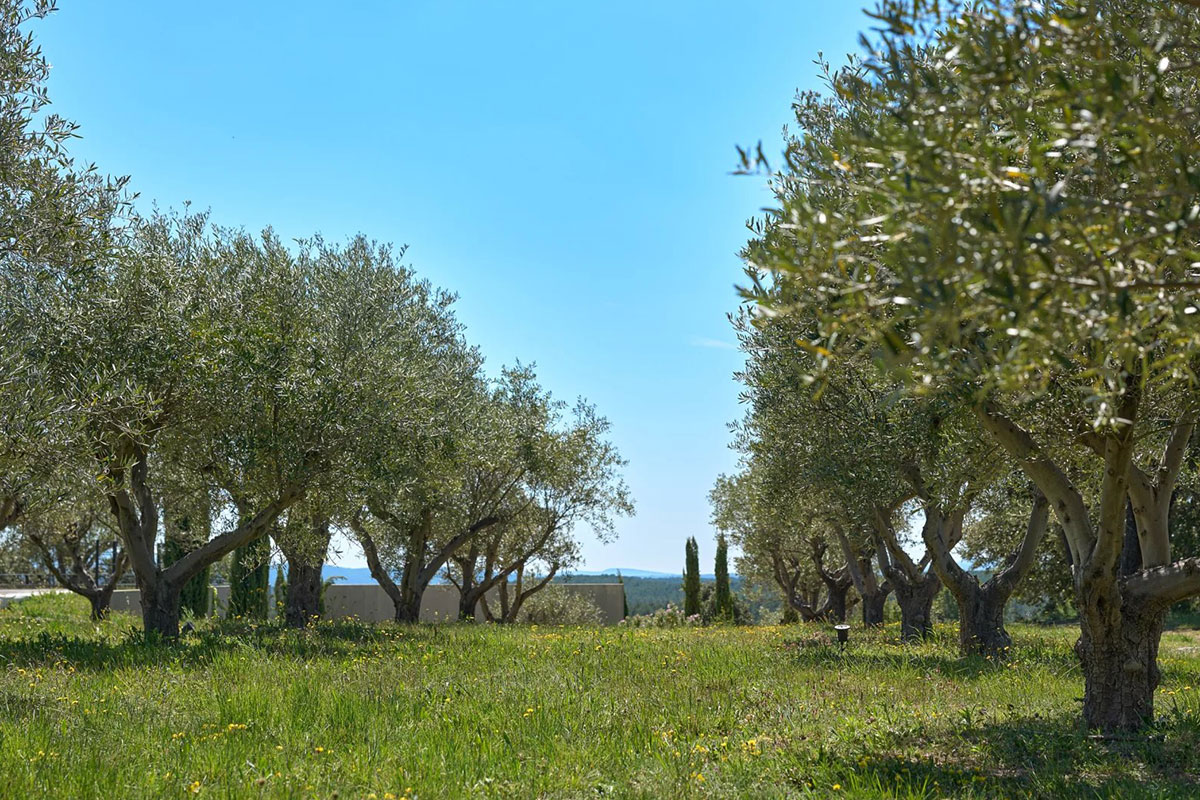 Luxury property for sale in Flayosc | Beauchamp Estates Luxury property for sale in Flayosc | Beauchamp Estates