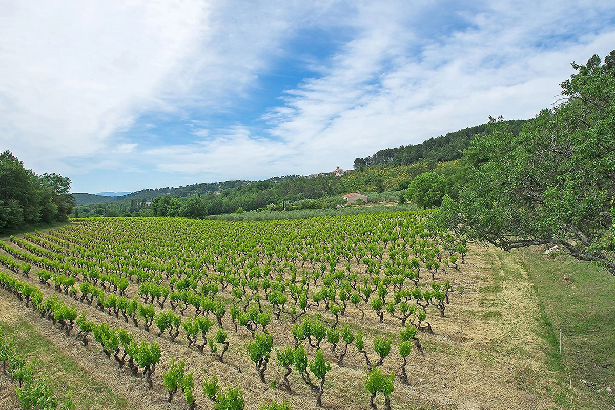 Luxury property for sale in Var countryside area | Beauchamp Estates Luxury property for sale in Var countryside area | Beauchamp Estates