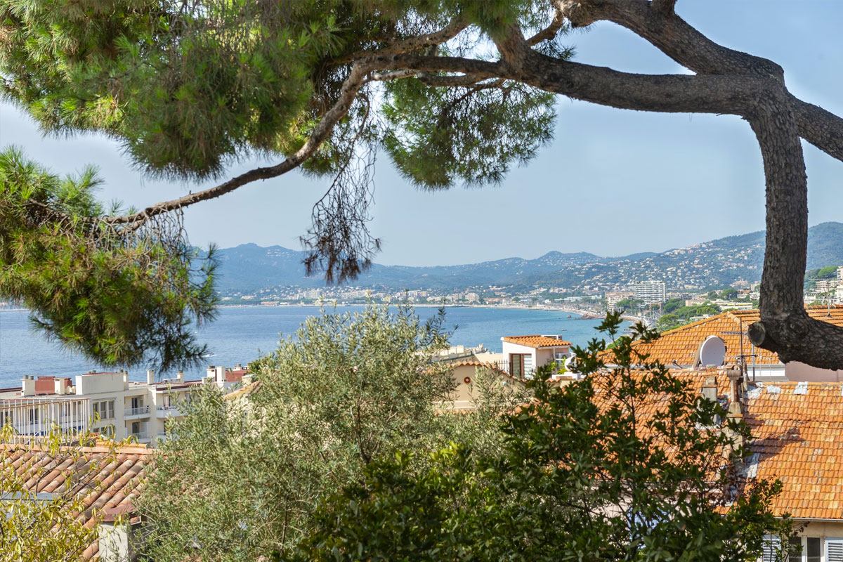 Cannes Congress & Festival Villa Rentals | Beauchamp Estates Cannes Congress & Festival Villa Rentals | Beauchamp Estates