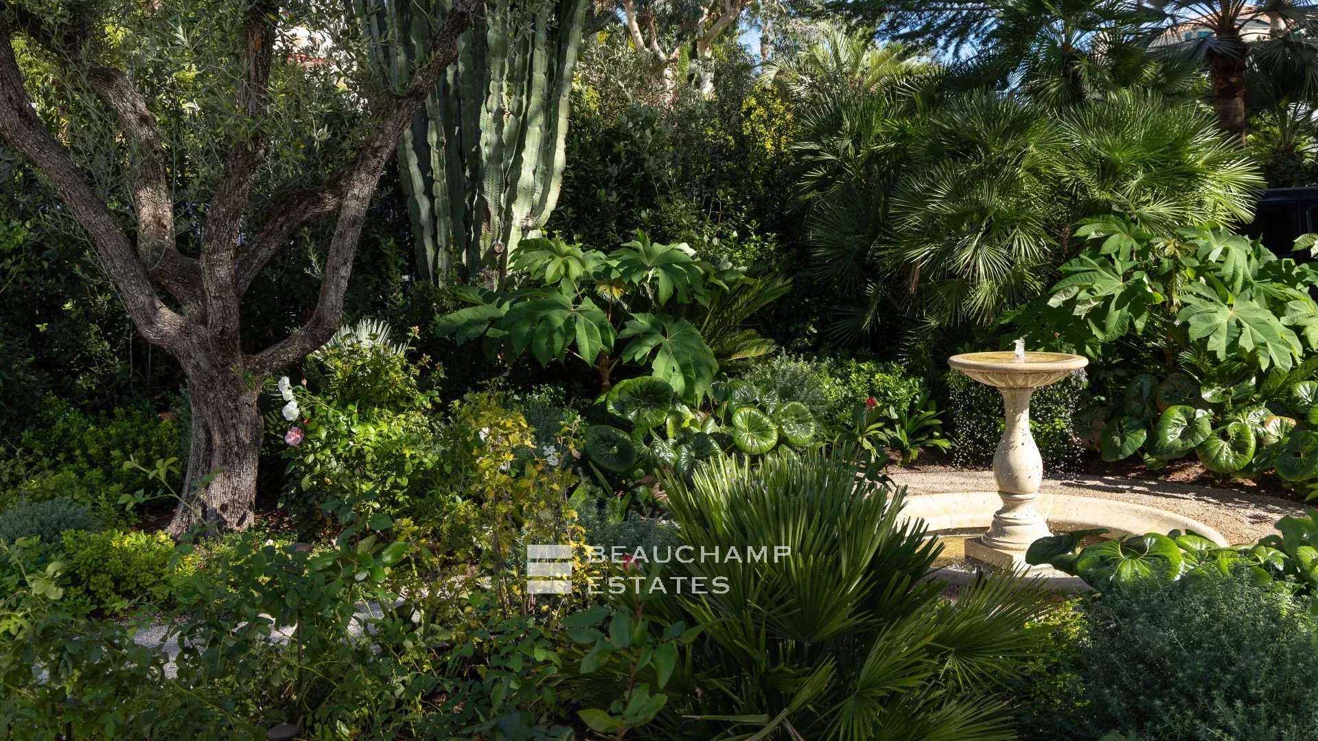 EXCLUSIVITE – Basse Californie – Villa néo provençale rénovée avec vue mer panoramique EXCLUSIVITY – Renovated neo-Provençal villa with panoramic sea views