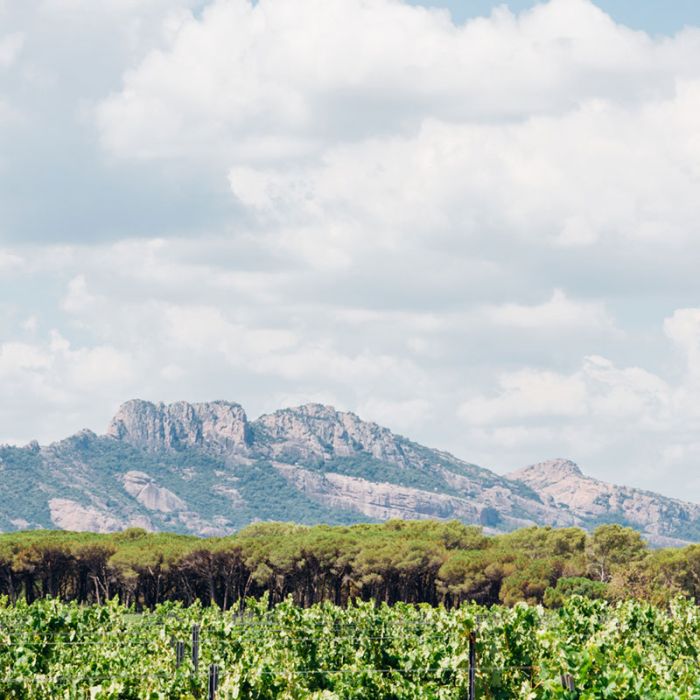 Propriété à vendre à Puget-sur-Argens