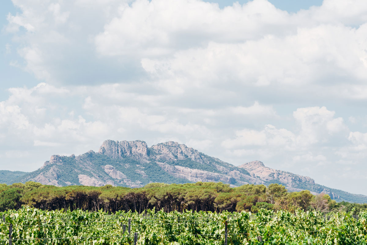 Luxury property for sale in Puget-sur-Argens | Beauchamp Estates Luxury property for sale in Puget-sur-Argens | Beauchamp Estates