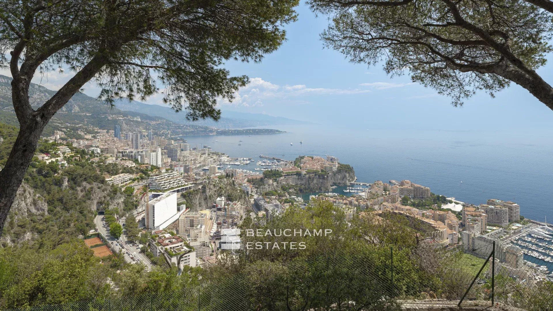 Splendide Villa Néo-Provençale à 2 min de Monaco Beautiful villa in neo-provencal style 2 minutes from Monaco