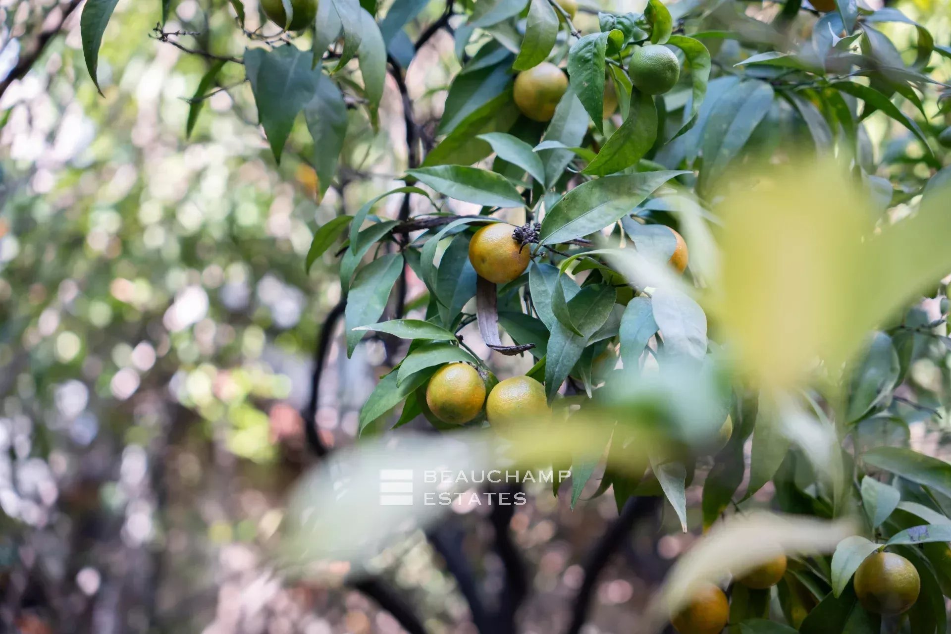 Cannes center – Superb fully renovated 2-room apartment Cannes center – Superb fully renovated 2-room apartment