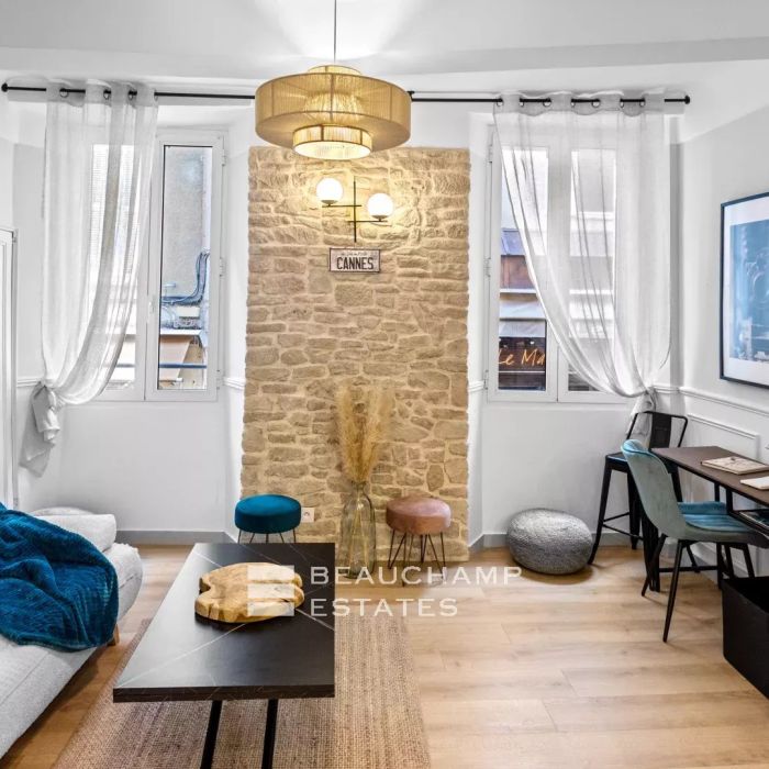 Charming 2 bedroom apartment in suite – Cannes Centre