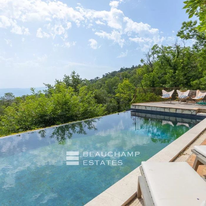 Charming villa with swimming pool and view