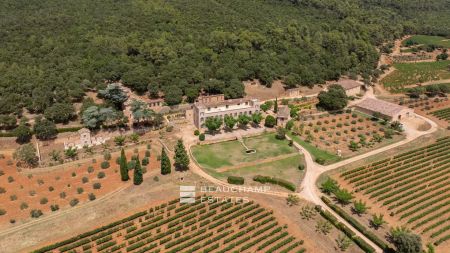 Acheter une propriété viticole : les réponses aux questions essentielles pour concrétiser votre projet 2026 | Beauchamp Château with vineyard estate