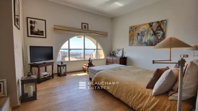 Fantastic renovated apartment Cannes Fantastic renovated apartment Cannes