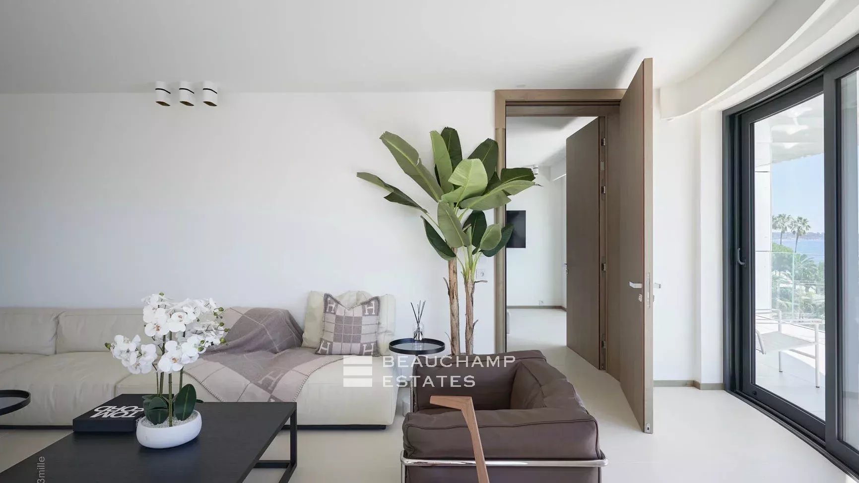 Location appartement Cannes first croisette Rental apartment in Cannes first croisette