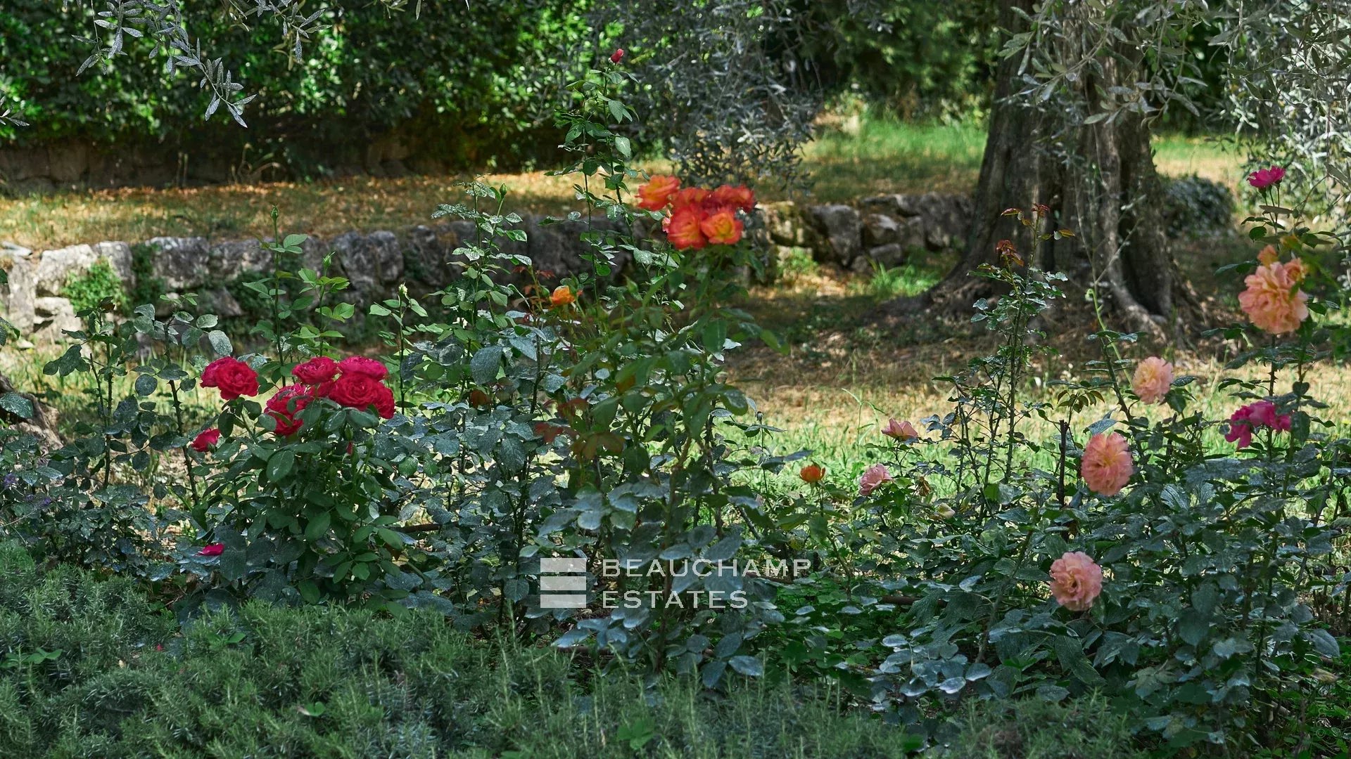 Superb 18th Century Renovated Farmhouse in Grasse Superb 18th Century Renovated Farmhouse in Grasse
