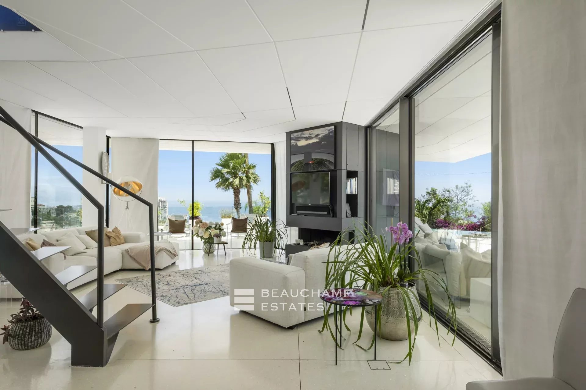 Villa on the Edge of Monaco Villa on the Edge of Monaco