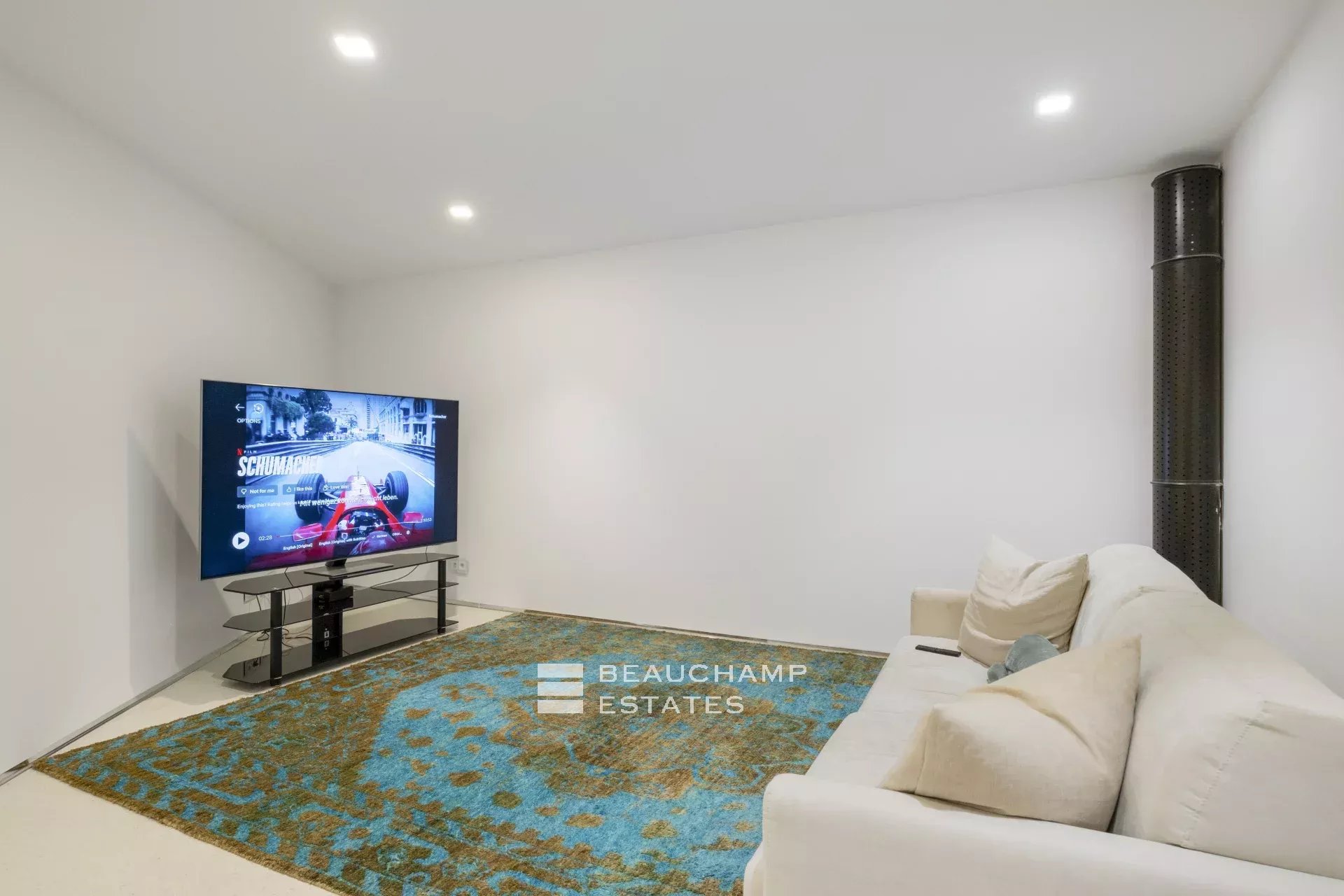 Villa on the Edge of Monaco Villa on the Edge of Monaco