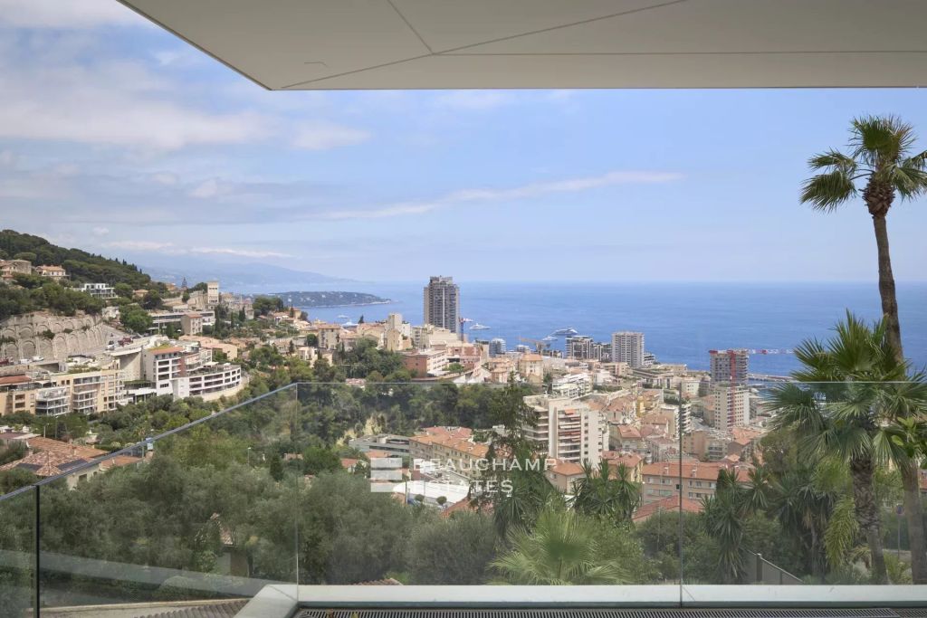 Villa on the Edge of Monaco