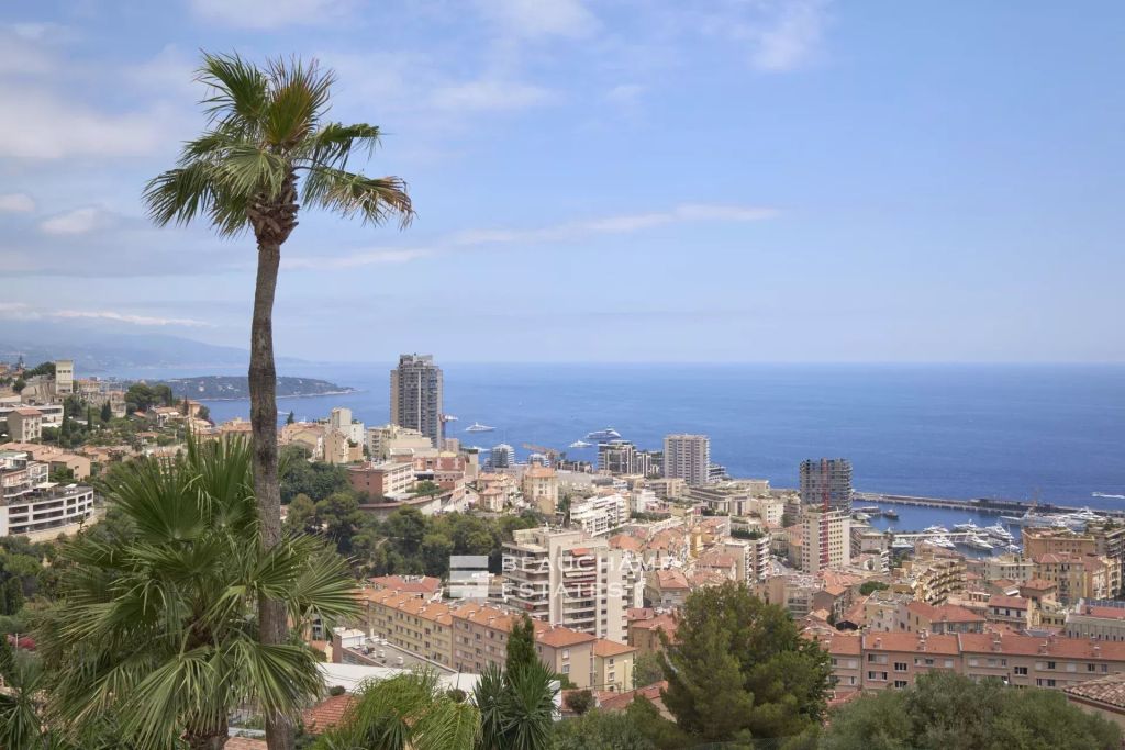 Villa on the Edge of Monaco