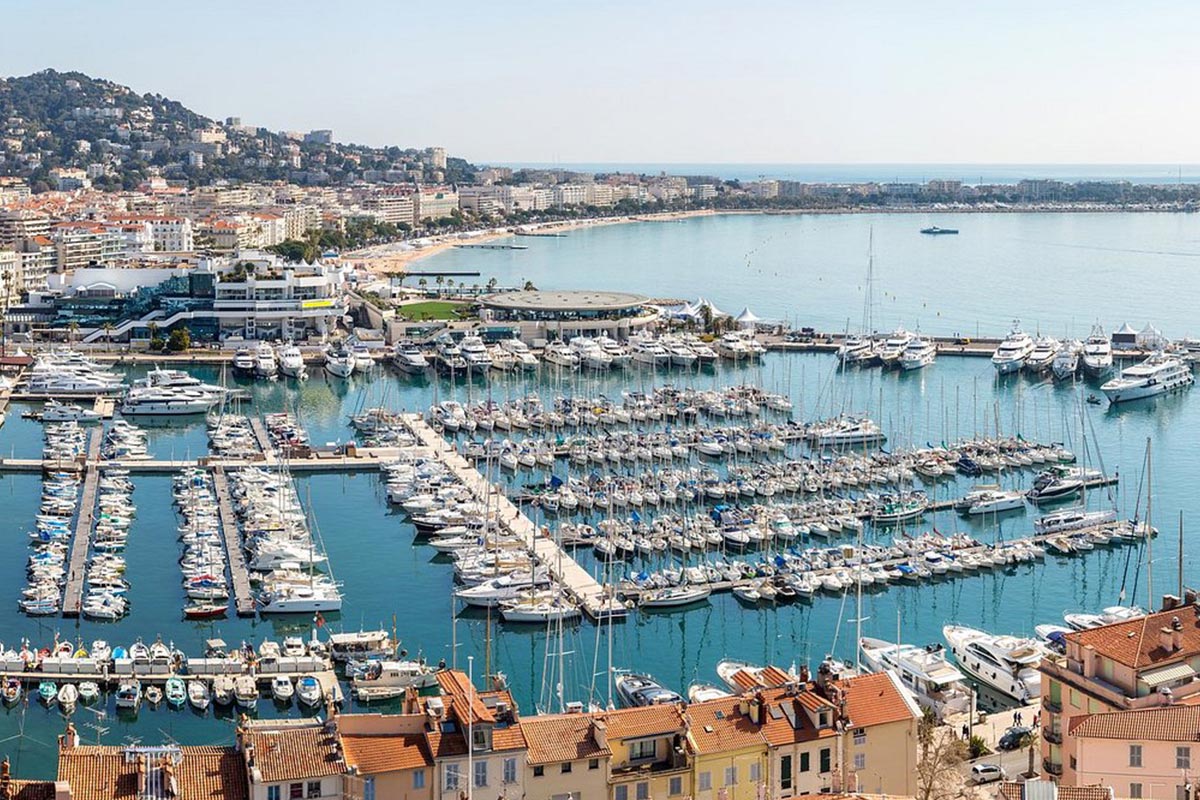 cannes-banane cannes-banane