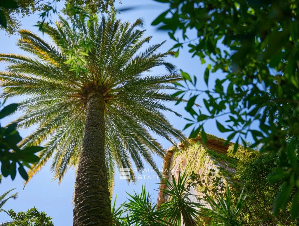 CANNES CALIFORNIA MAGNIFICENT PROPERTY WITH SEA VIEW