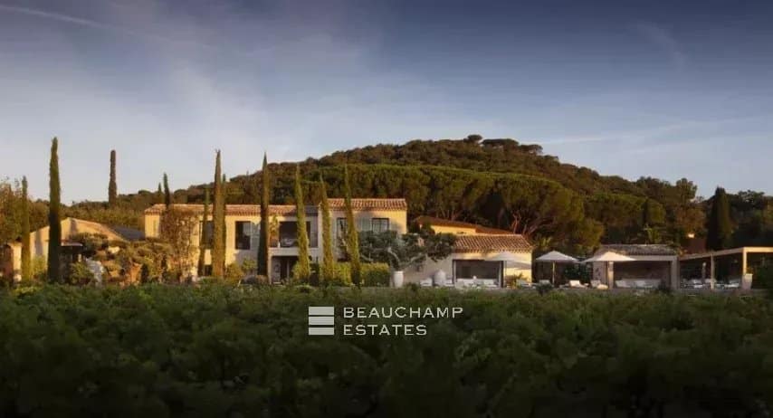 Exceptional Provençal Estate Just 5 Minutes from Saint-Tropez Center
