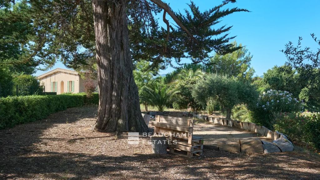 House with Great Potential for Renovation in Minelle