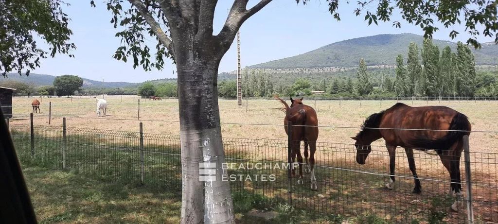 PRIVATE STUD FARM ON 56 HECTARES
