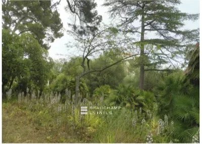 Sumptuous property Belle Epoque – Roquebrune Cap Martin