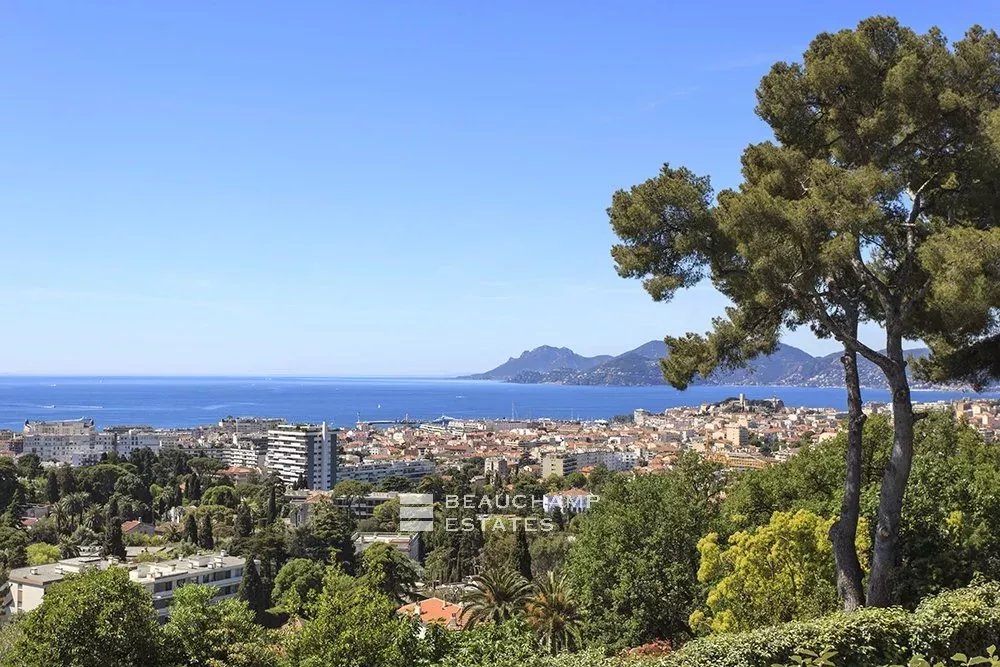Sumptuous Property in Cannes Californie