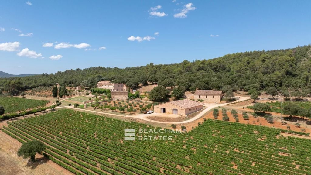 Château with vineyard estate