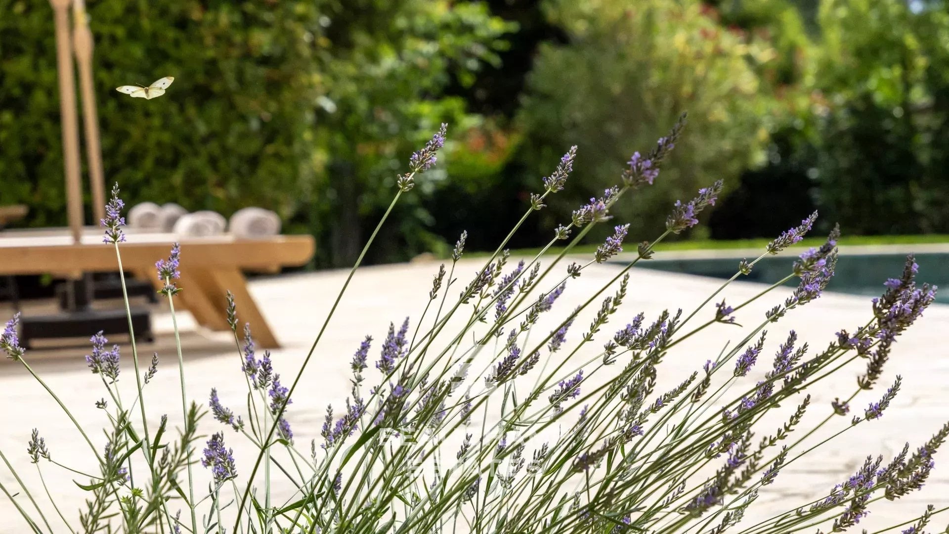 Neo-Provençal 4-bedroom villa in Rocquefort-les-Pins with swimming pool Neo-Provençal 4-bedroom villa in Rocquefort-les-Pins with swimming pool