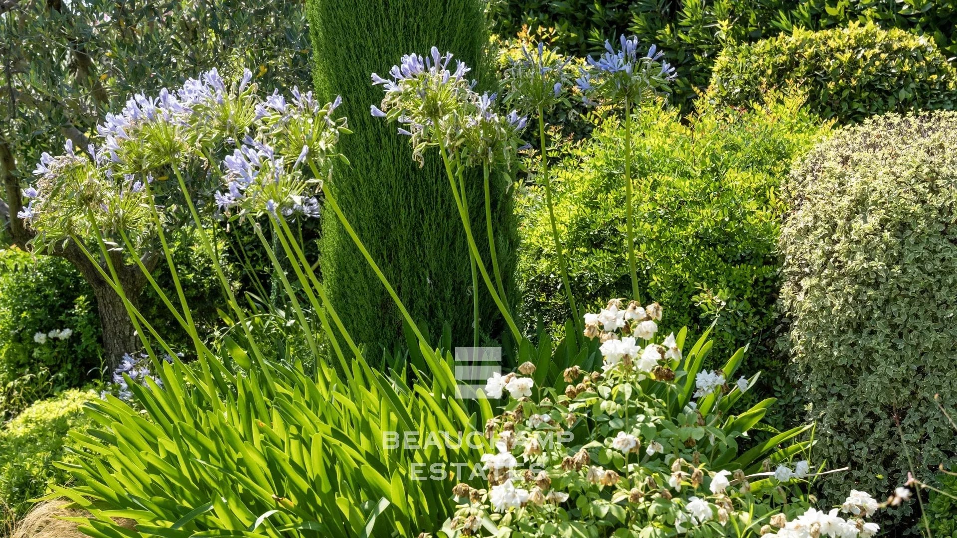 4-bedroom Provençal villa in Mougins with swimming pool 4-bedroom Provençal villa in Mougins with swimming pool