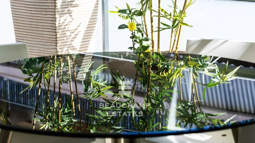 Bright and Spacious Apartment – Cannes Palm Beach