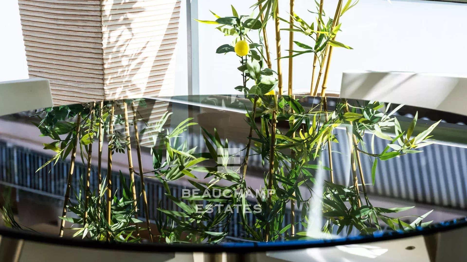 Bright and Spacious Apartment – Cannes Palm Beach Bright and Spacious Apartment – Cannes Palm Beach