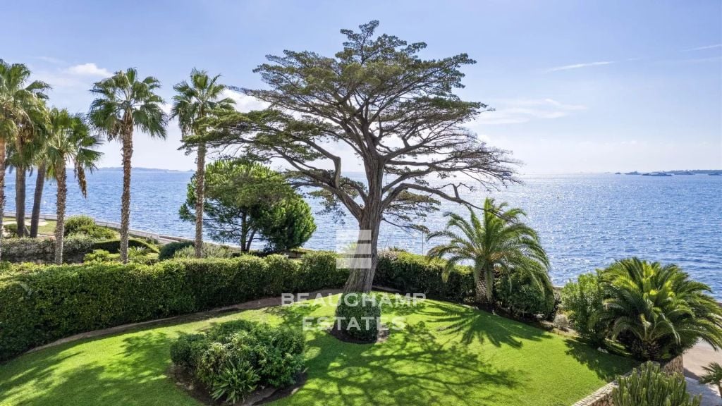 Three-bedroom apartment with sea view – Cannes Palm Beach
